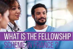 What is the Fellowship Scheme in France
