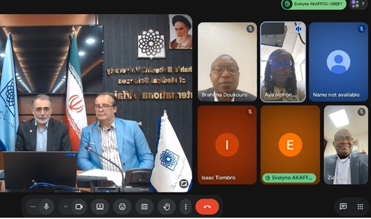 Iranian and Ivorian Medical Universities Explore Academic Partnership